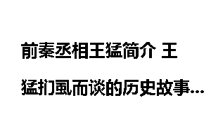 前秦丞相王猛简介 王猛扪虱而谈的历史故事