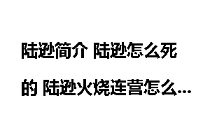 陆逊简介 陆逊怎么死的 陆逊火烧连营怎么回事？