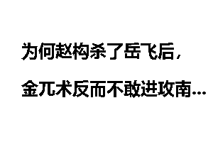 为何赵构杀了岳飞后，金兀术反而不敢进攻南宋了？