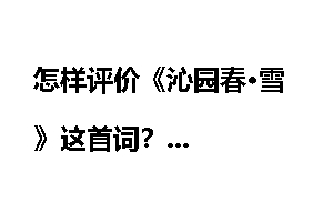 怎样评价《沁园春•雪》这首词？