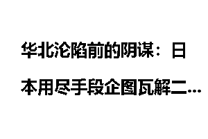 华北沦陷前的阴谋：日本用尽手段企图瓦解二十九军_29军