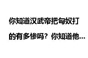 你知道汉武帝把匈奴打的有多惨吗？你知道他为了打匈奴有多拼吗？