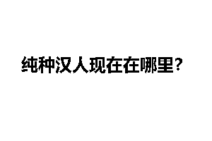 纯种汉人现在在哪里?