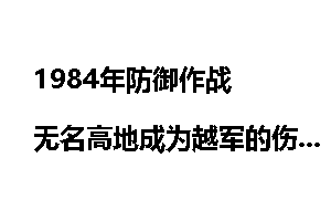 1984年防御作战 无名高地成为越军的伤心高地_防御