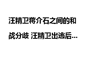 汪精卫蒋介石之间的和战分歧 汪精卫出逃后蒋介石有何反应