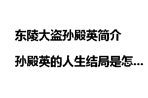 东陵大盗孙殿英简介 孙殿英的人生结局是怎样的