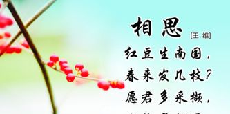 王维红豆诗《相思》原文和翻译