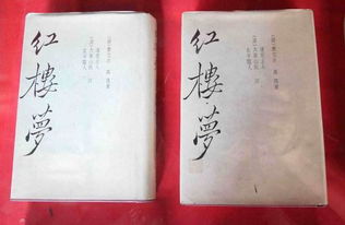 红楼梦是写什么的一本书
