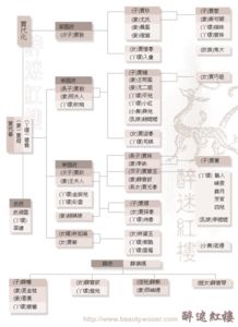 红楼梦四大家族代表人物是谁