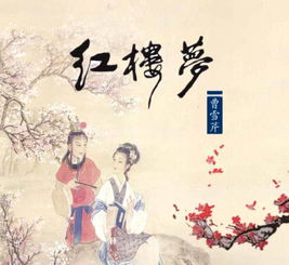 红楼梦讲了一个什么故事简短