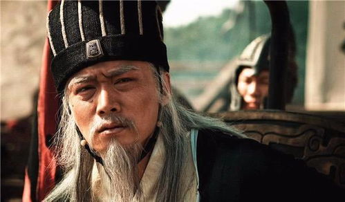 诸葛亮真正的死因