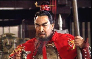 曹操有几个老婆？