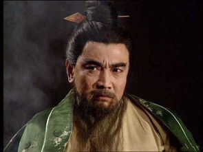 曹操的父亲是宦官吗